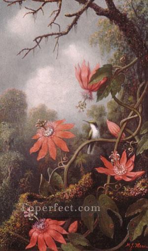 Hummingbird And Passion flower painter Martin Johnson Heade Oil Paintings